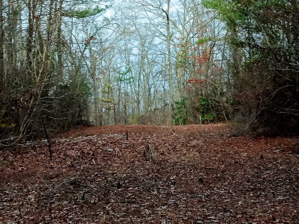 Picture 25