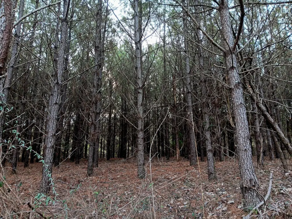 Picture 16