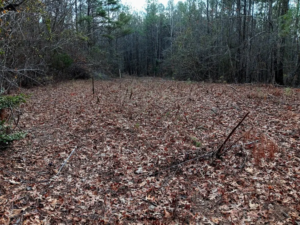 Picture 27