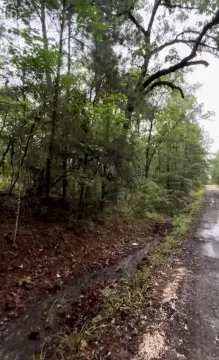 Residential Land Near Zavalla, TX