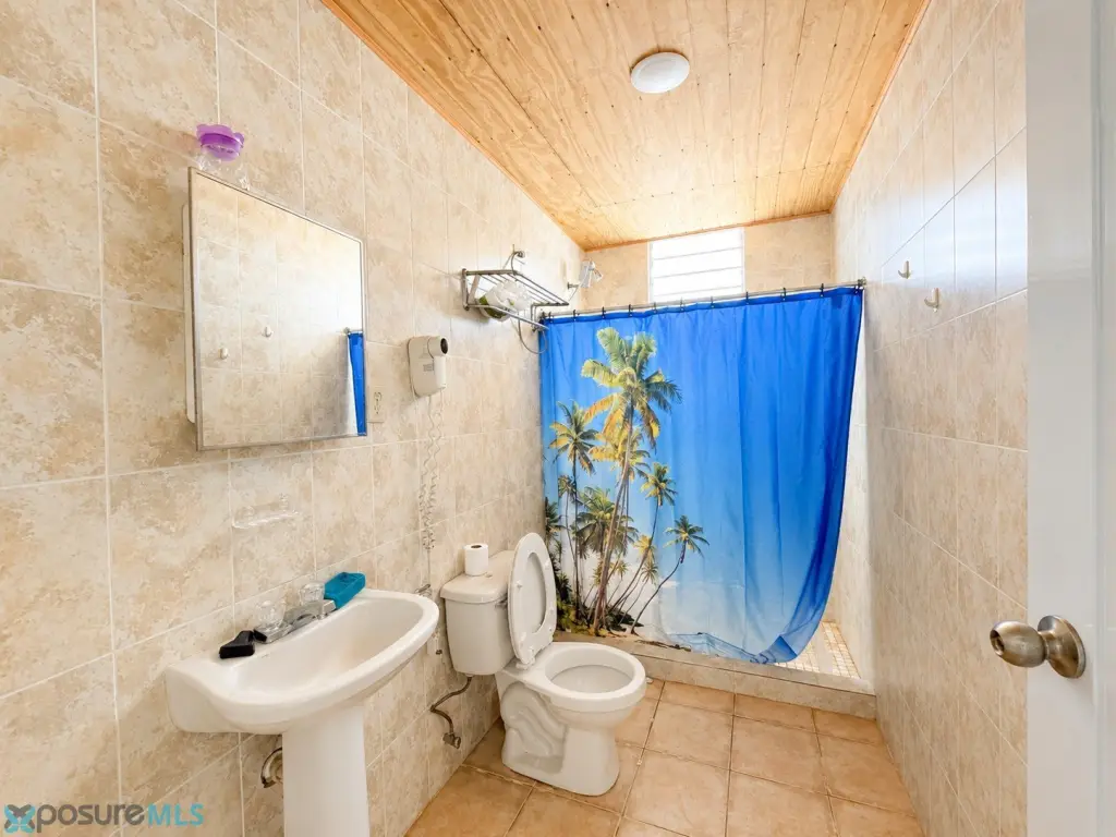 Picture 7