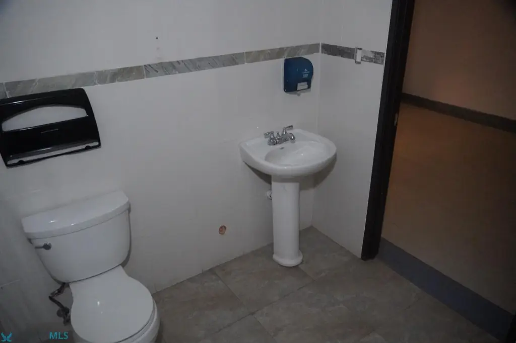 Picture 15