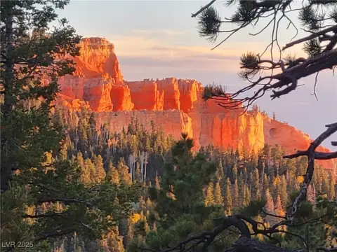 Spacious Lot with Pink Cliffs View