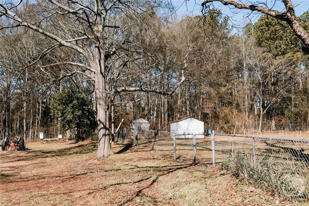 Picture 25