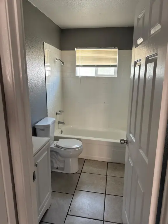 Picture 19