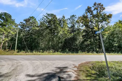 Moncks Corner Wooded Land Parcel