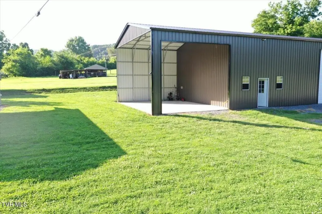 Picture 5