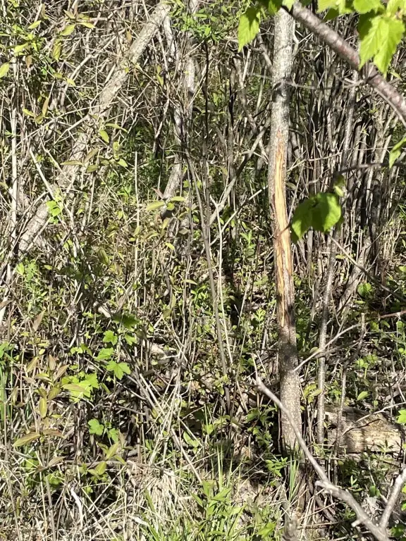 Picture 18