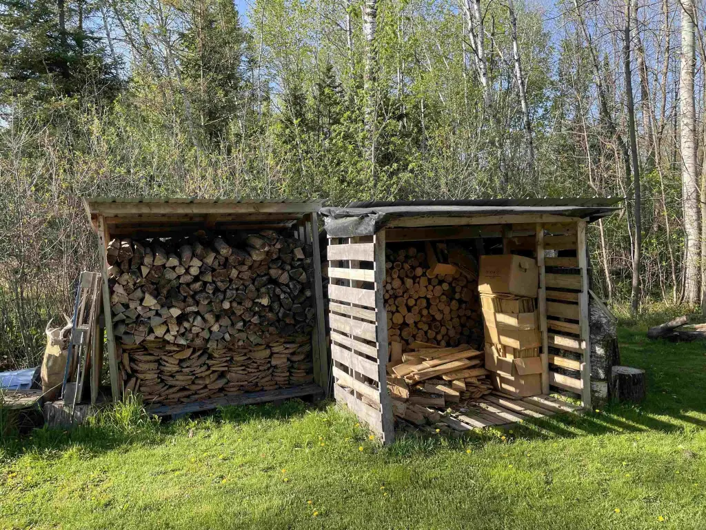 Picture 19