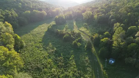 Expansive Hunting Land with Cabin