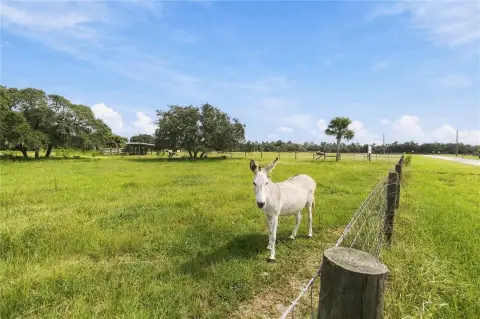 Ranch with Steel Agricultural Building