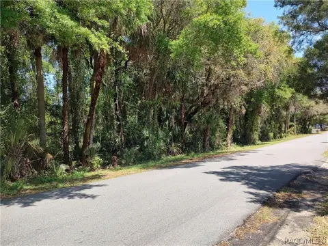 Crystal River Land Opportunity