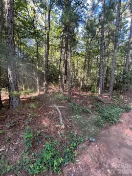 AGC-Zoned Land Tract