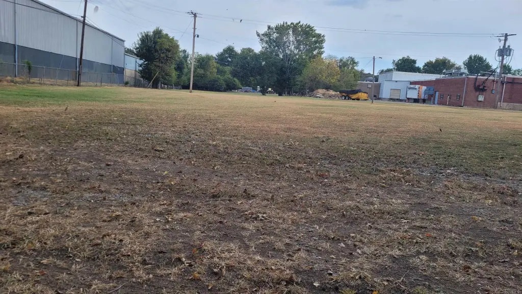 Picture 2