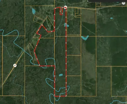 Hunting Land with Internal Trails