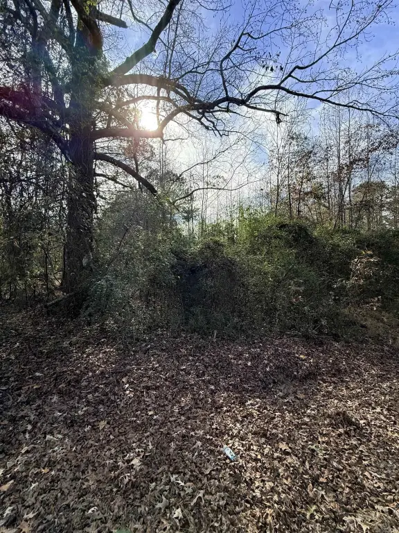 Picture 9