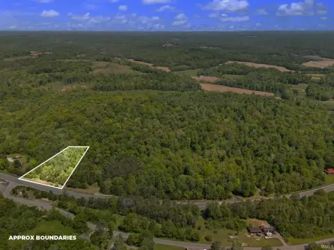 Wooded Hunting Land Tract