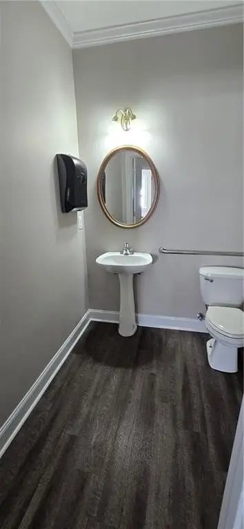 Picture 31