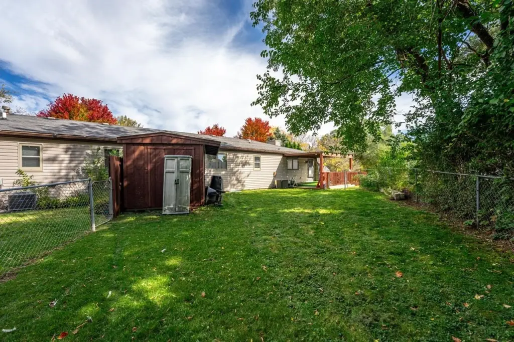 Picture 50