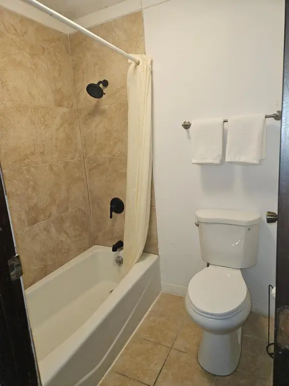 Picture 19