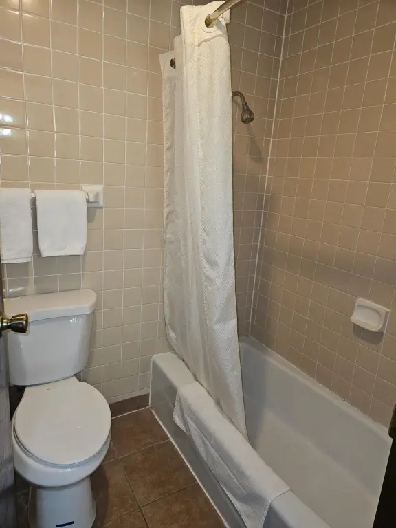 Picture 25