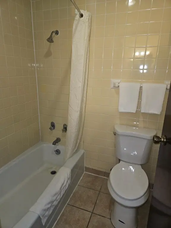 Picture 23