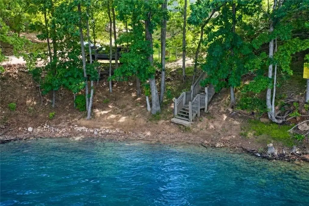 Picture 8