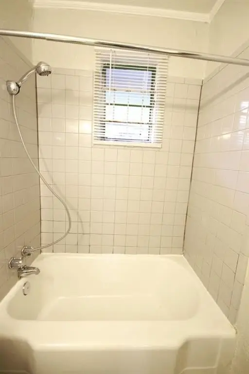 Picture 28