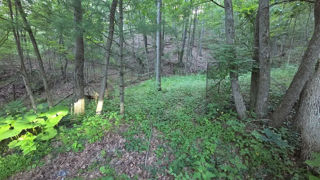 Picture 12
