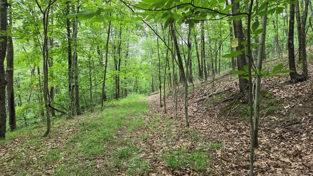 Picture 19