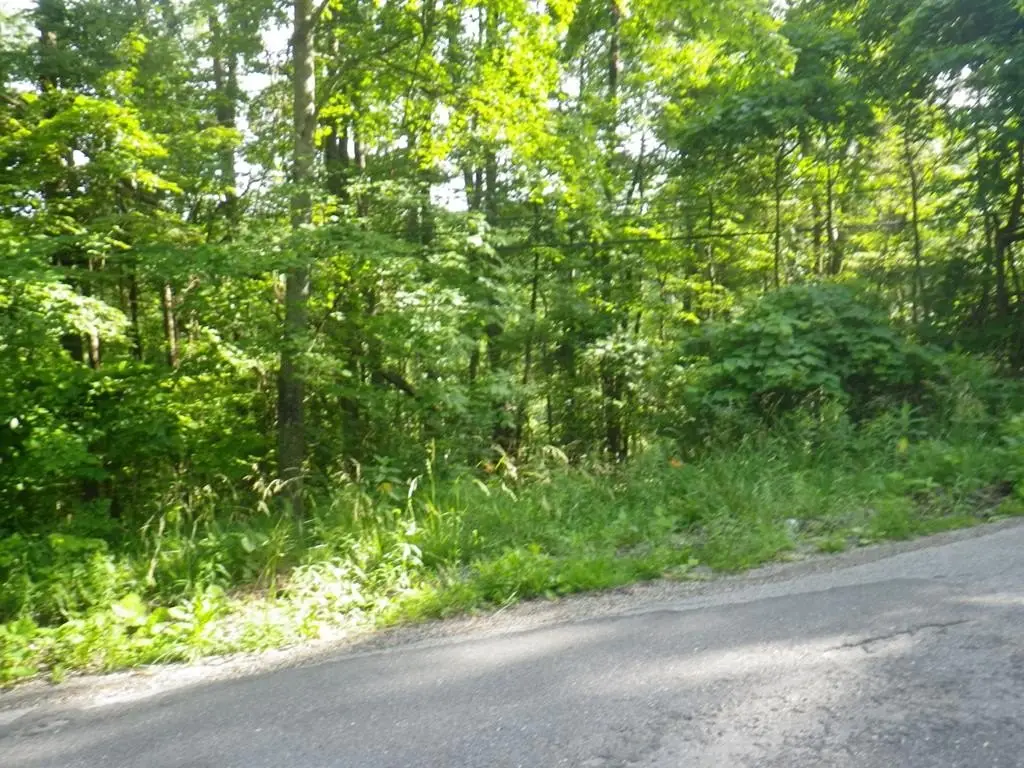 Picture 6