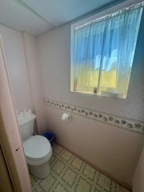 Picture 38