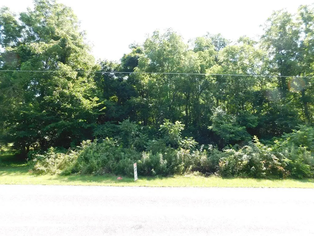 Picture 3