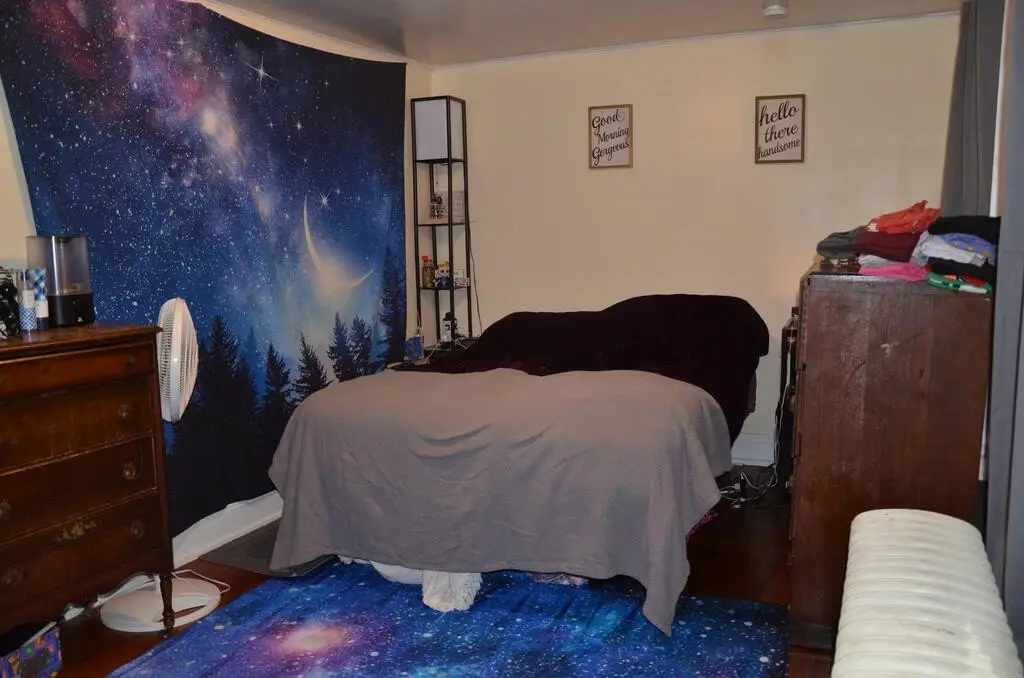 Picture 12