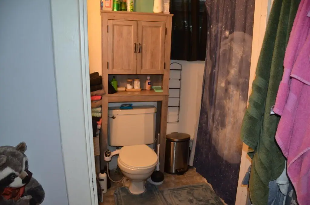 Picture 11