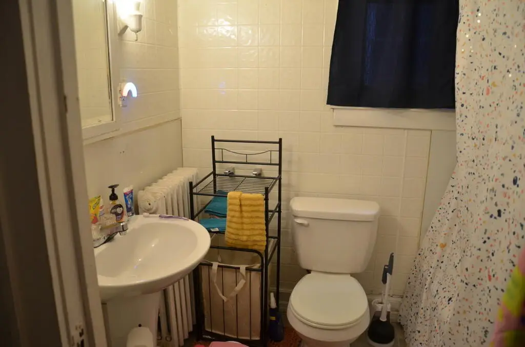 Picture 15