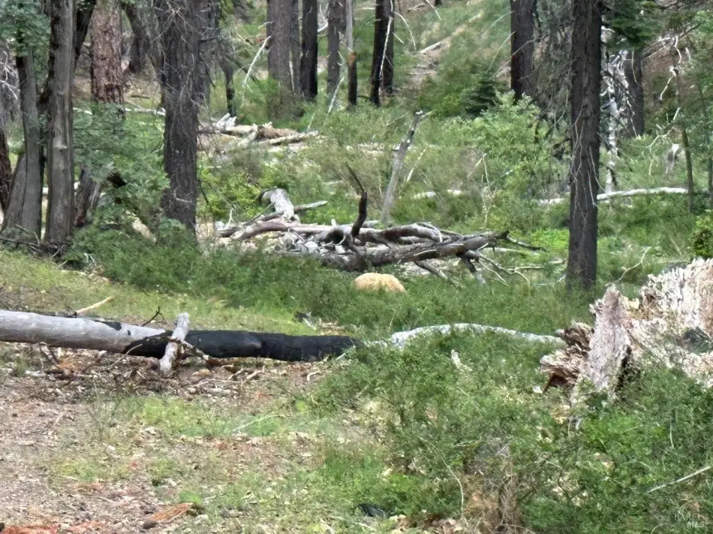 Picture 4