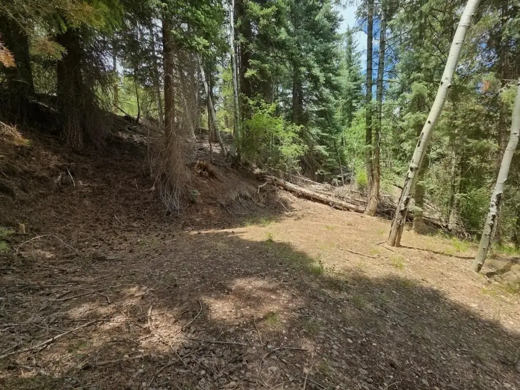 Picture 19