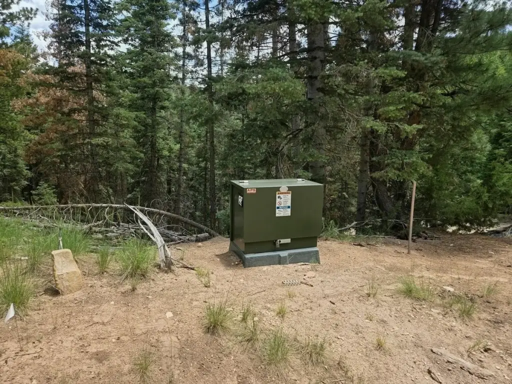 Picture 14