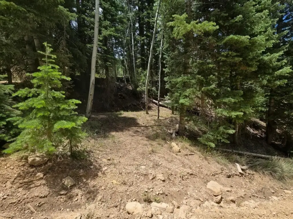 Picture 18
