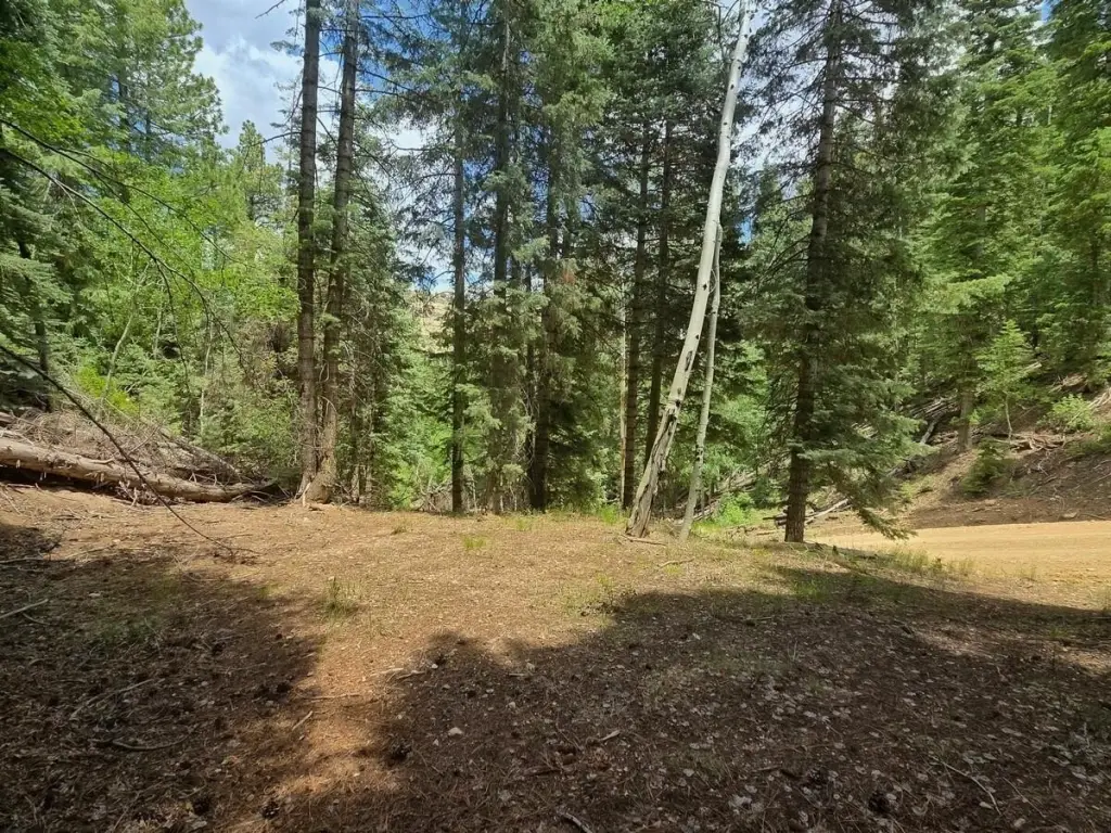 Picture 20