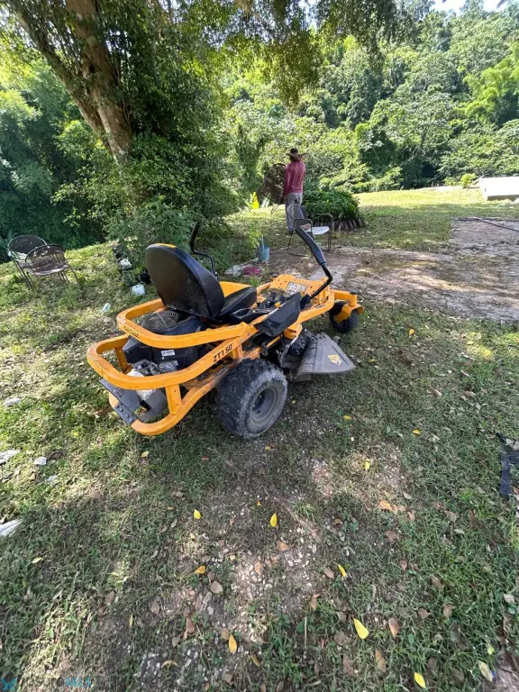 Picture 17