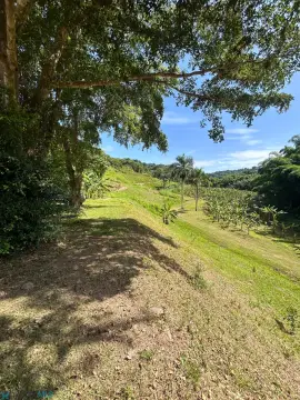 Farm With Concrete Residence