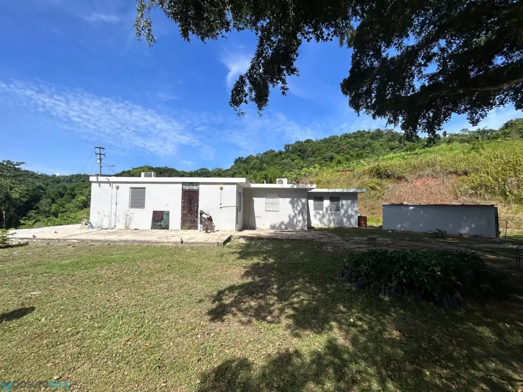 Picture 15