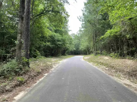 Unrestricted 10 Acres Near Lake