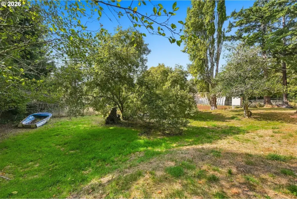 Picture 23
