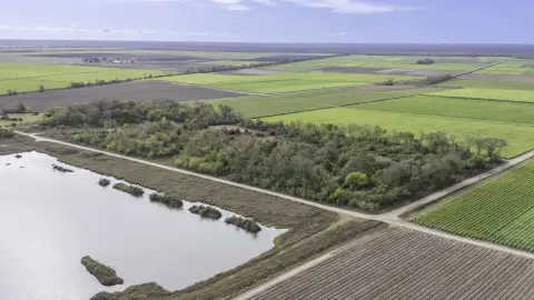 72-Acre Napoleonville Land with Ponds