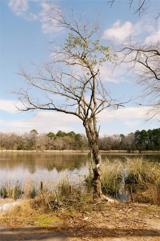 Picture 16