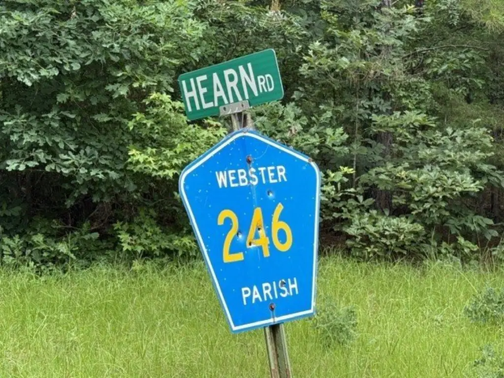 Picture 16