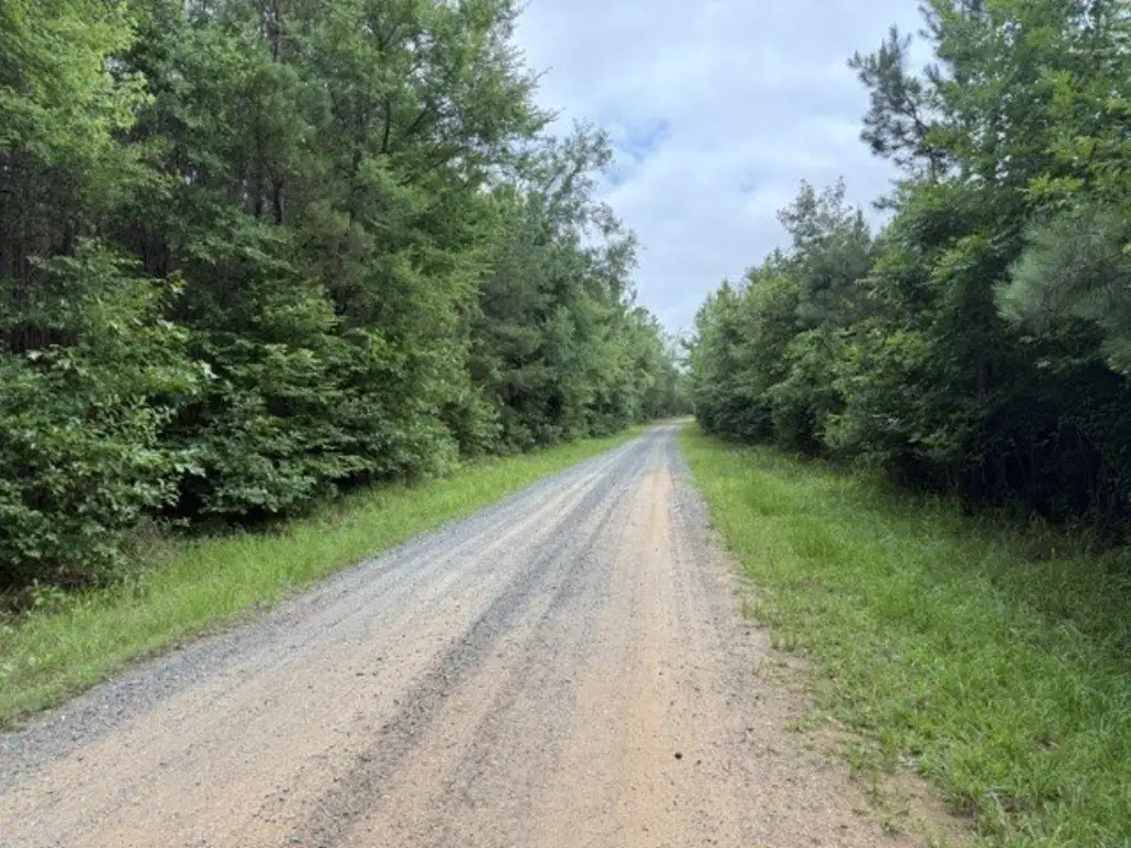 Picture 10